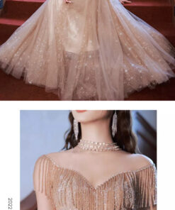 Đầm dạ hội cao cấp đẹp THPCM Hà Nội - VDH213 (6)