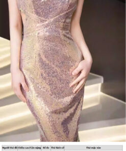 Shop bán đầm dự tiệc sang trọng - VDH209 (1)